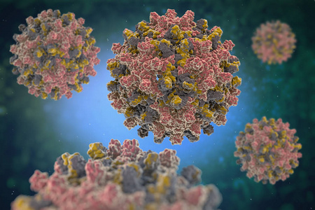 Hev igm proba azkarra: Hepatitis e diagnostikoan bidea eramatea