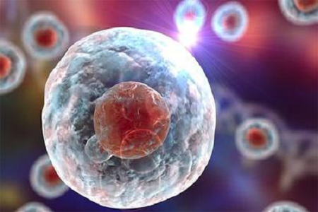 Babiok kalitate handiko Giemsa Stain B irtenbidea jarri du Diagnostika Zikotiko eta hematologiko aurreratuentzat