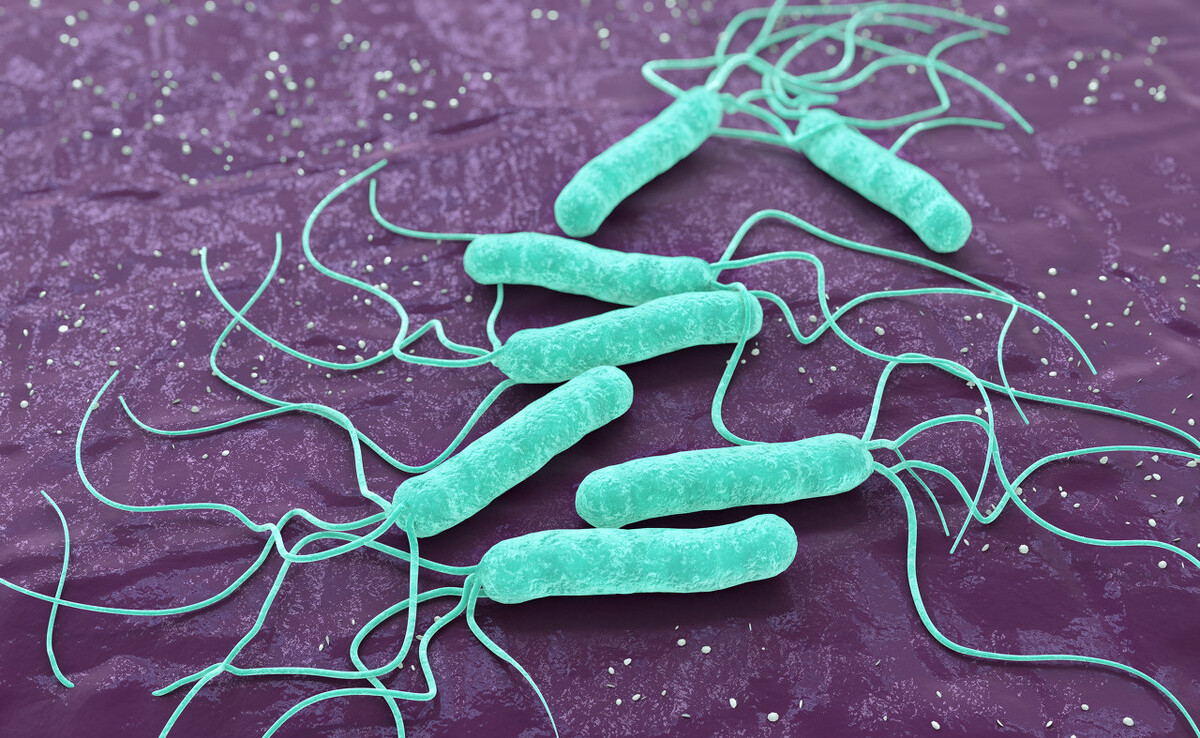 Babio-k Filariasis Igg / IGM azkarreko proba kit jarri du abian, filarioko gaixotasun diagnostikoa laguntzeko