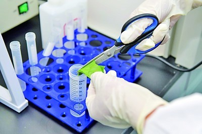 Babioko Gram Stain Kit-ekin sinplea izan zen bakterioen identifikazio fidagarria