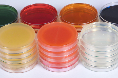 Kalitate handiko Sapouraud Dextrose Agar (SDA) Babioren eskutik