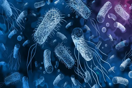 Babiok Vibrio Cholerae abian jarri du antigeno bizkorreko detekzio kit azkarra