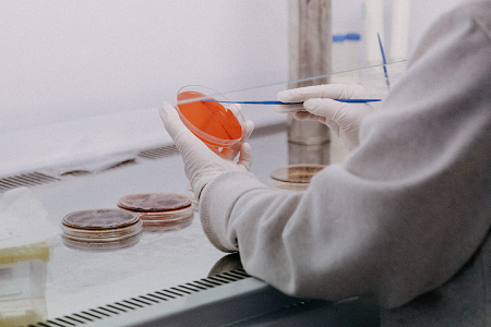 Babiok Patata Dextrose Agar (USP) aurkeztu du molde eta legamiaren probetarako fidagarritasunerako