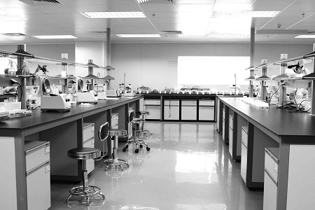Babio Salmonella Shigella Agar: Elikagaien Segurtasunerako eta Diagnostiko Klinikoetarako euskarri fidagarria