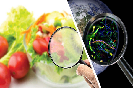 BABIO-k Aflatoxin B1 Azterketa Azkarren kasetea kaleratzen du Elikagaien Segurtasunaren Kontrol Globalerako