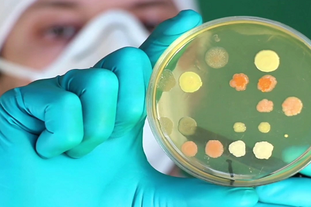Trypticase Soy Broth: Mikrobioen hazkuntzarako oinarri fidagarria