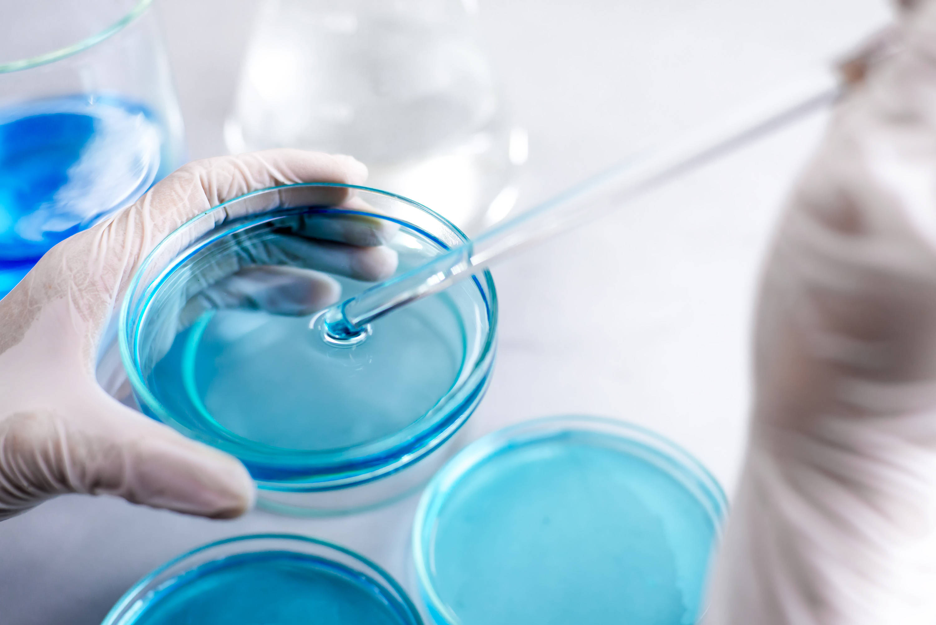 Baibo Biotech-ek laginak hobeto kontserbatzeko erabili eta botatzeko euskarri aurreratuak aurkeztu ditu