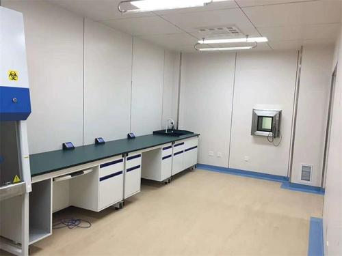 Odol-kultura botila: Babio-rekin patogenoen detekzio aurreratuz