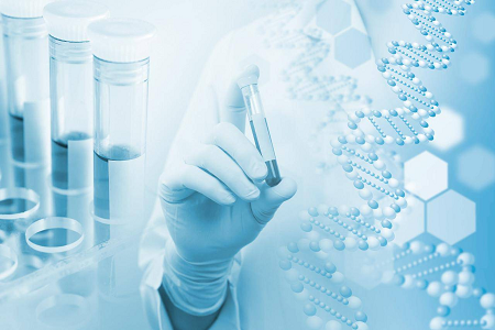 Agar Medium B (Kaseina Soja Bean Digest Agar) - Mikrobioen kulturarako aukera fidagarria