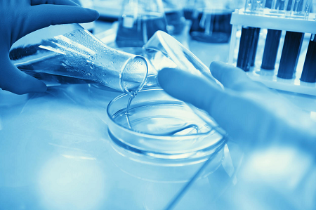 Paludismoaren diagnostikoa indartzea P.f/P.v Antigen Testing Solutions azkarrekin