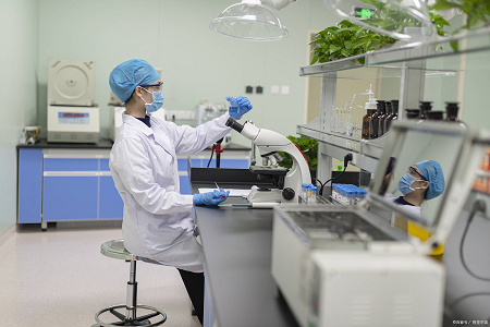 Buffered Peptone Water: Salmonella probak egiteko hasiera fidagarria