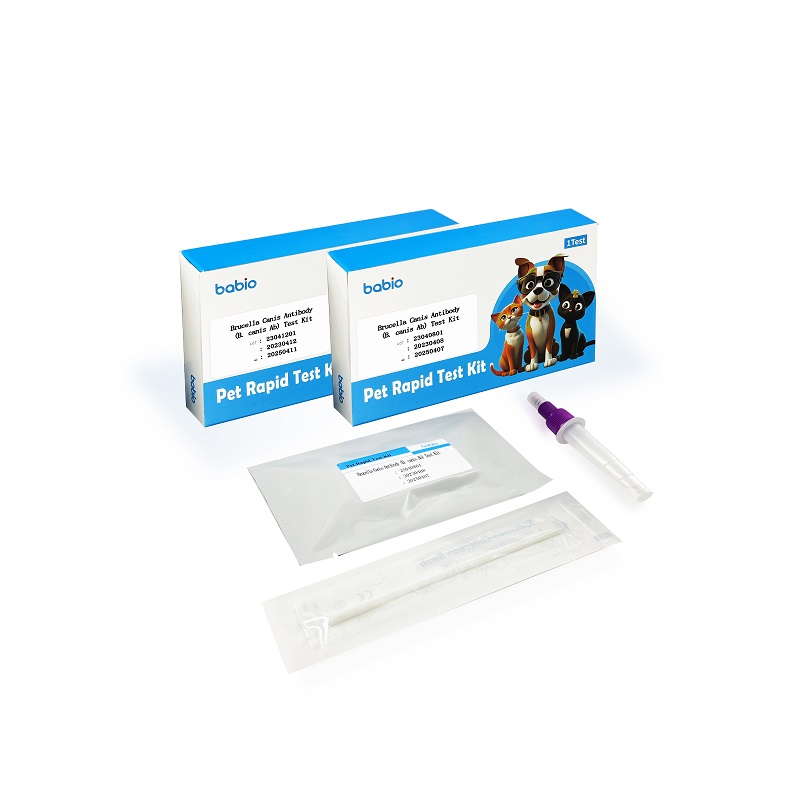 Brucella Canis Antigorputza (B. canis Ab) Test Kit